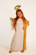 Aniel 2